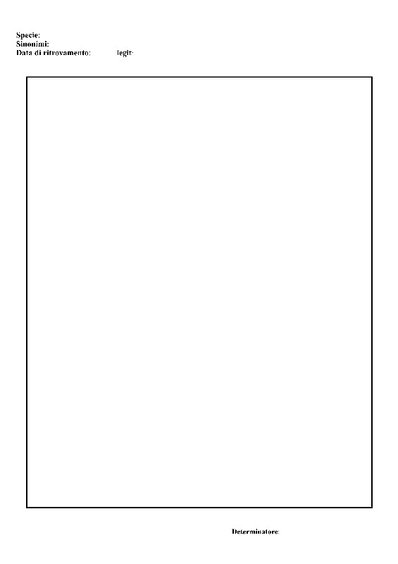 Telamonia (mi lancio)